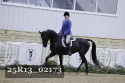25R13_02173 thumbnail