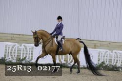 25R13_02177 thumbnail
