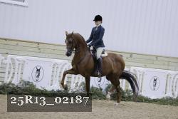 25R13_02187 thumbnail