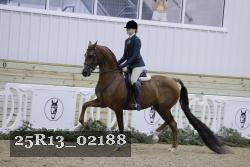25R13_02188 thumbnail