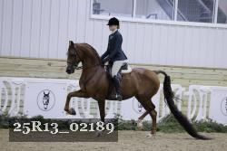 25R13_02189 thumbnail