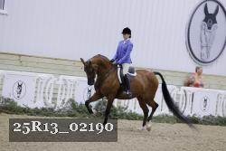 25R13_02190 thumbnail