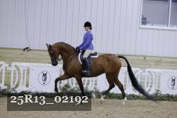 25R13_02192 thumbnail