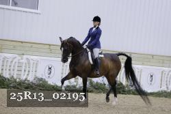 25R13_02195 thumbnail