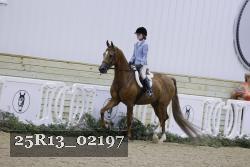 25R13_02197 thumbnail