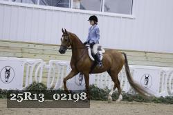 25R13_02198 thumbnail