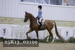 25R13_02199 thumbnail