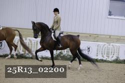 25R13_02200 thumbnail