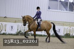 25R13_02201 thumbnail