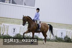 25R13_02202 thumbnail