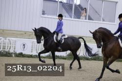 25R13_02204 thumbnail