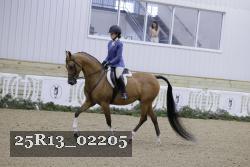 25R13_02205 thumbnail