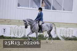 25R13_02206 thumbnail
