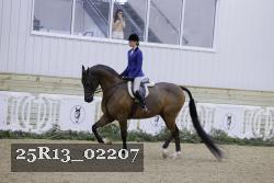 25R13_02207 thumbnail
