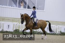 25R13_02208 thumbnail