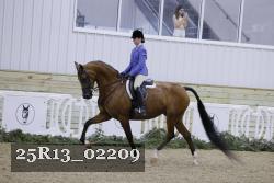 25R13_02209 thumbnail