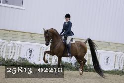 25R13_02210 thumbnail