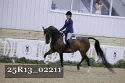 25R13_02211 thumbnail