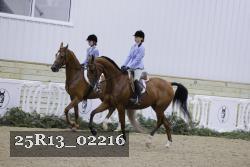 25R13_02216 thumbnail