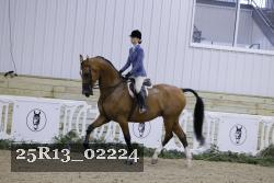 25R13_02224 thumbnail