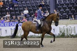 25R13_02225 thumbnail
