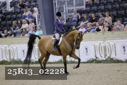 25R13_02228 thumbnail