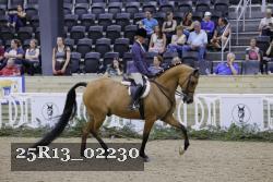 25R13_02230 thumbnail