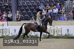 25R13_02231 thumbnail