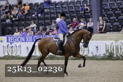 25R13_02236 thumbnail