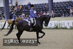 25R13_02237 thumbnail