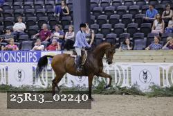 25R13_02240 thumbnail