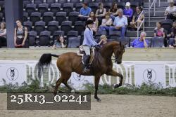 25R13_02241 thumbnail