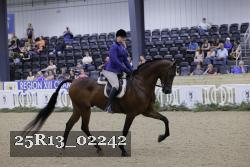 25R13_02242 thumbnail