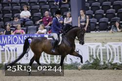 25R13_02244 thumbnail