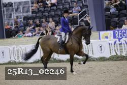 25R13_02246 thumbnail