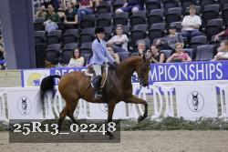 25R13_02248 thumbnail
