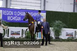 25R13_02266 thumbnail