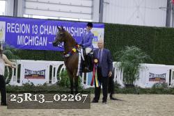 25R13_02267 thumbnail