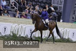 25R13_02277 thumbnail