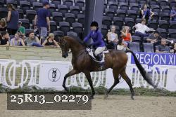 25R13_02279 thumbnail