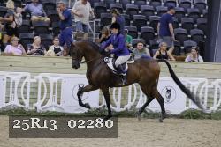25R13_02280 thumbnail