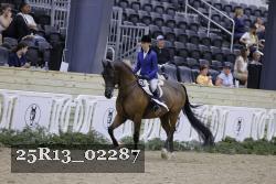 25R13_02287 thumbnail