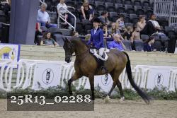 25R13_02288 thumbnail