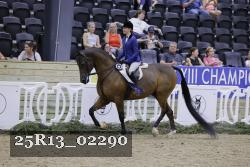 25R13_02290 thumbnail