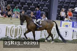 25R13_02291 thumbnail