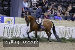 25R13_02292 thumbnail