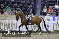 25R13_02294 thumbnail