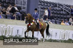 25R13_02296 thumbnail