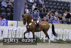 25R13_02297 thumbnail