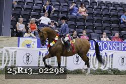 25R13_02298 thumbnail